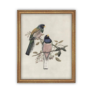 Birds of a Feather 8x10