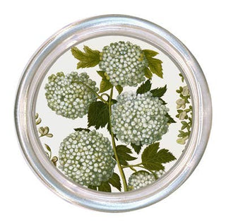 Pale Hydrangea Coaster