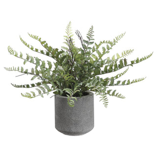 15" Fern in Cement Pot