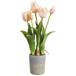 15.5" Tulip in Mgo Planter Pink