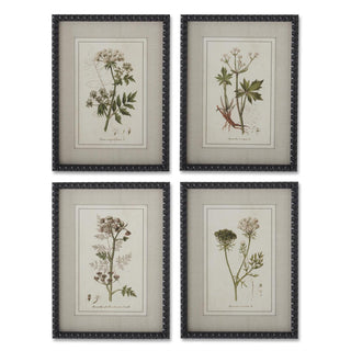 15.75" Green & White Botanical Frame Print