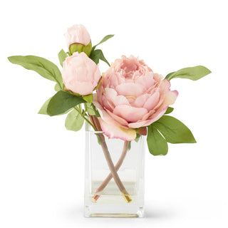 10 inch Peony in Square Glass Pot