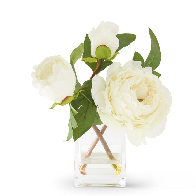 10 inch Peony in Square Glass Pot