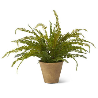 22 Inch Fern in Cement Pot