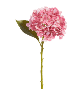 Home Accents 19" Real Touch Pink Hydrangea
