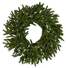 24" NORFOLK ISLAND PINE WREATH