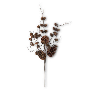 Decorative branch with pine cones on a white background