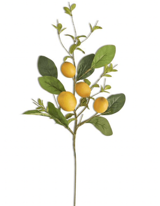 28" Lemon & Foilage Stem