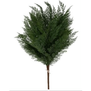33"L R/T ARBORVITAE BUNDLE, W/JUTE TIE