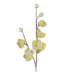 34" ICY WILD MINI MAGNOLIA SPRAY