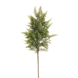 37" Cedar Spray