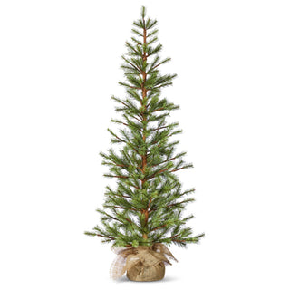 Slim Pine Tree in Bag