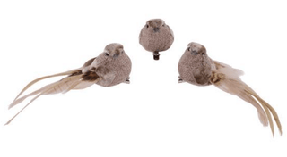 6.25"L X 1.75"H BIRD W/LONG TAIL