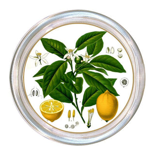 Vintage Lemons Coaster