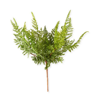 16" Curly Aspidiaceae Fern Spray Stem