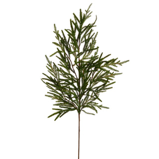 39" Norfolk Pine Branch