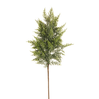 37" Cedar Spray