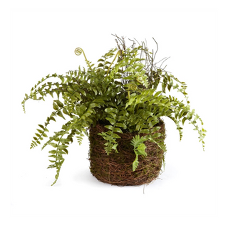 12" Boston Fern Rustic Drop-In