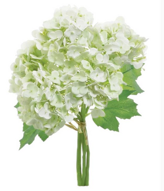 Hydrangea Bundle