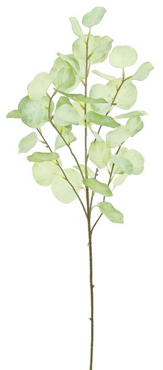 Silver Dollar Eucalyptus Spray - 36" Grey