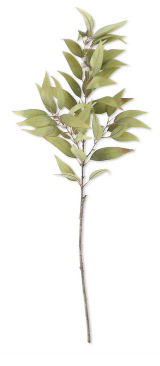 Green Eucalyptus Branch w/ Pods- 48"