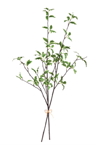 Varigated Leaf Branches 32"