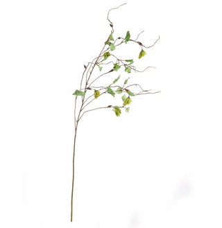 Hops Branch 39"