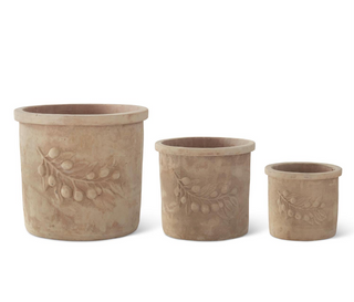 Olive Branch Embossed Terracotta Planter w/Drain