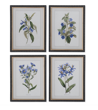 Assorted 17.75" Decorative Black & Gold Framed Blue Botanical Prints