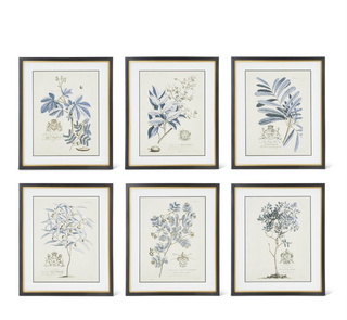 Assorted 23.75" Black & Gold Framed Blue Arbor Prints