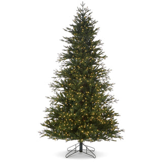 Nordic Fir w/Brilliant LED Lights 9"