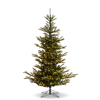 7.5' Norwegian Spruce w/Brilliant LED