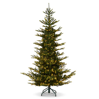 Norwegian Spruce w/Brillant LED Lights 9'