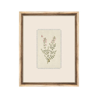 Petite Floral VII Framed Art