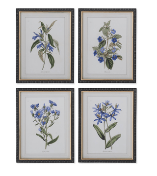 Assorted 17.75" Decorative Black & Gold Framed Blue Botanical Prints