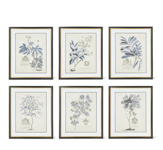 Assorted 23.75" Black & Gold Framed Blue Arbor Prints