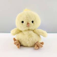 Baby Chicky