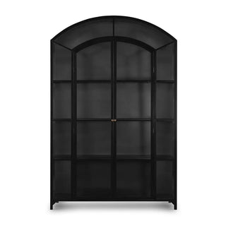 Front view of a wide iron metal cabinet with an arched top and glass doors.