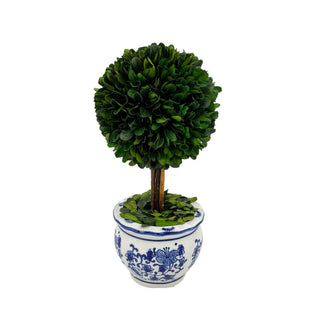 Boxwood Ball Topiary Tree in Round Blue & White Ceramic Pot: Large