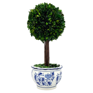 Boxwood Ball Topiary Tree in Round Blue & White Ceramic Pot: Large