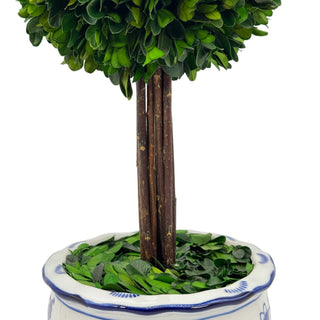 Boxwood Ball Topiary Tree in Round Blue & White Ceramic Pot: Large