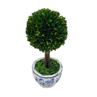 Boxwood Ball Topiary Tree in Round Blue & White Ceramic Pot: Large