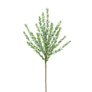 Boxwood Spray 27"