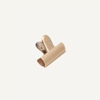 Brass Clip Large