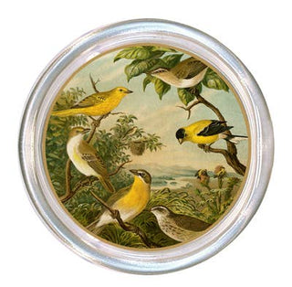 Yellow Birds Coaster