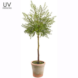 32" UV Myrtle Topiary - Clay Pot