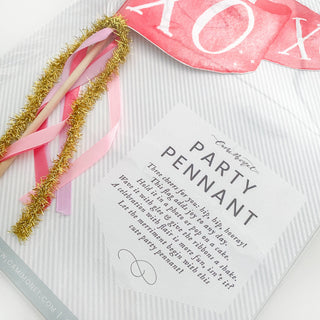 XOXO Party Pennant (Valentine's Day)