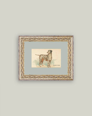 Dalmation Framed Antique Art: 8x10