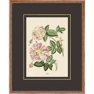 Figures of Flora - 12.75" x 15.75"