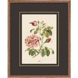 Figures of Flora - 12.75" x 15.75"